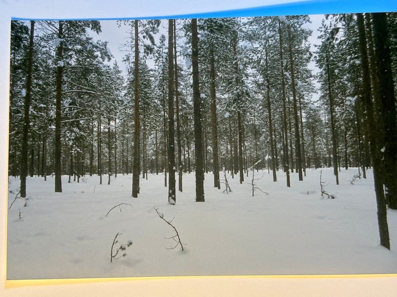 Elvegard — 3