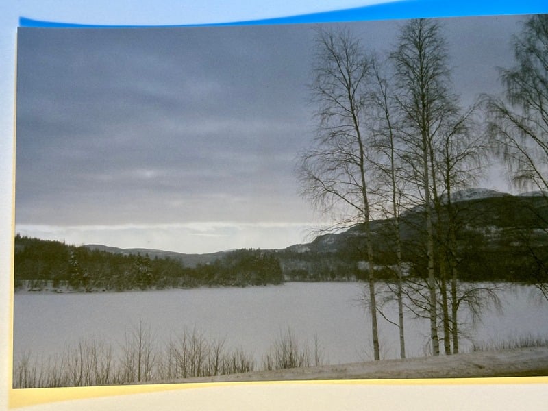 Elvegard — 4