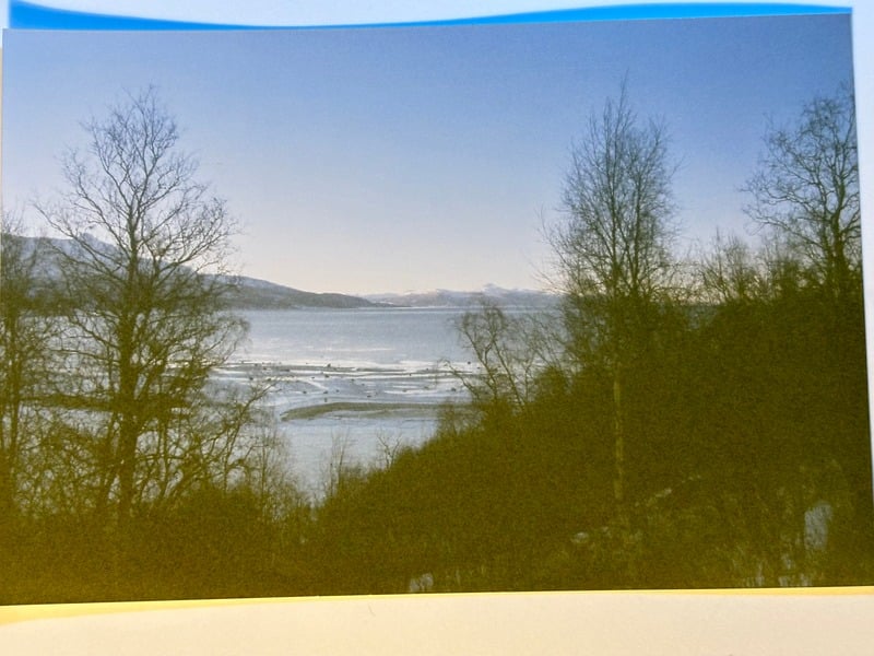 Elvegard — 7