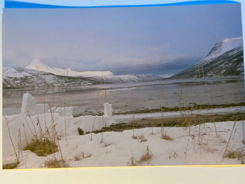 Elvegard — 9