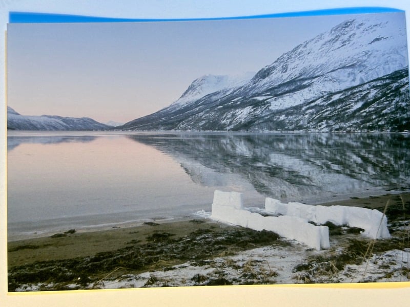 Elvegard — 10