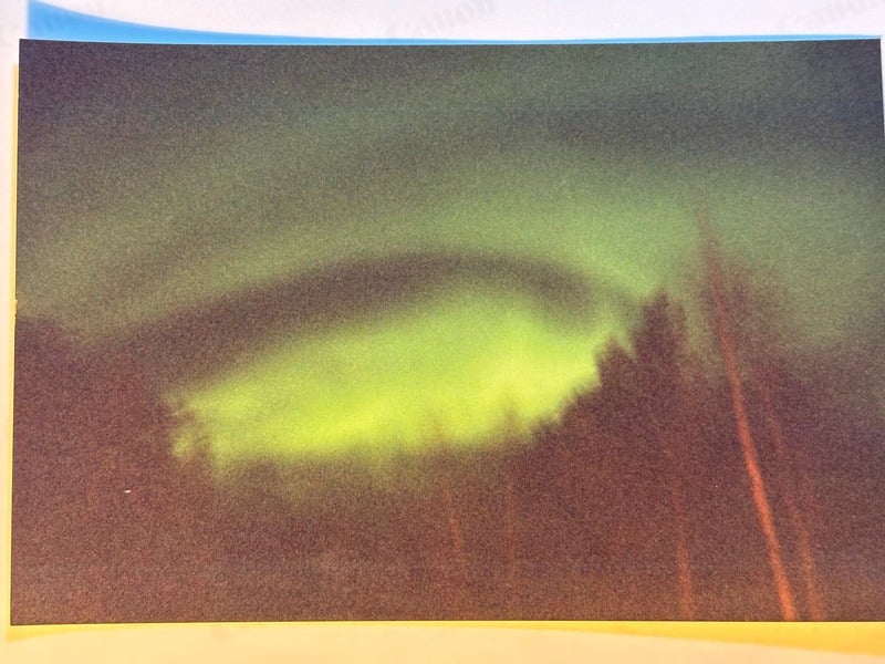 Elvegard — 12